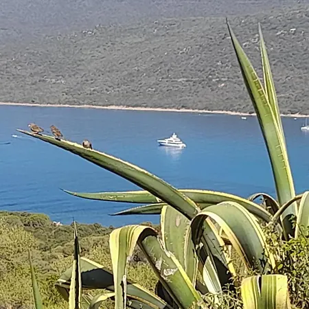 Appartement 'le 212' Splendide Vue Et Nature Serra-di-Ferro (Corsica)